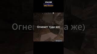 Самые ненужные вещи в сталкрафте #stalcraft #сталкрафт #exbo