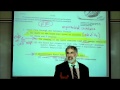 Cardiac physiology part 1 by professor fink.