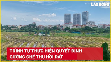 Trình tự thực hiện quyết định cưỡng chế thu hồi đất | Báo Lao Động