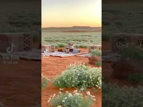 إيناس من تونس شاهدوا كيف خانت زوجها في ليلة زفافها 