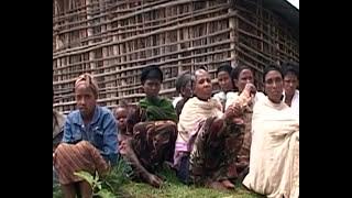 MaximsNewsNetwork: ETHIOPIA: FEMALE GENITAL MUTILATION (UNICEF)