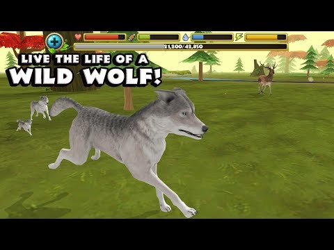 Wildlife Simulator: Wolf 3D