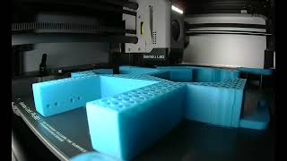Full Claw Prototype print