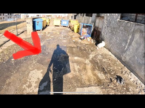 AM LIVRAT IN ZONA RAU FAMATA - VIATA DE LIVRATOR LA GLOVO