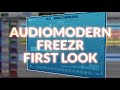 We Check Out Audiomodern Freezr