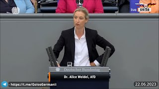 Речь Алис Вайдель АдГ в бундестаге: Нас уже тошнит от вашей политики, вы уничтожаете Германию!