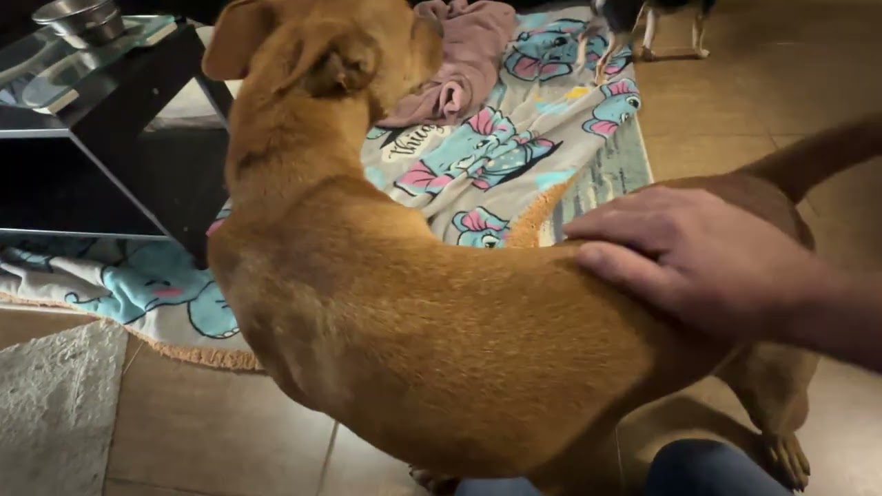 La solución.. mudarnos de aquí 