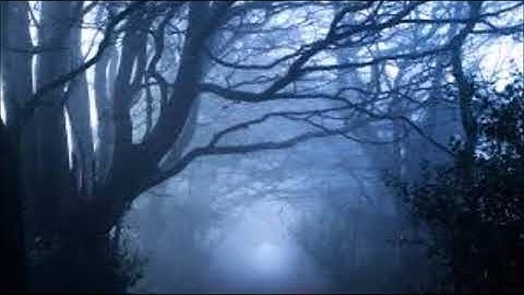 Thomas Feiner & Ulf Jansson - Bested Bones