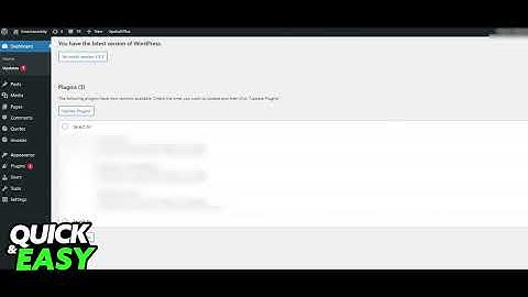 How To Fix The Wordpress Customizer Preview Not Working [EASY!]