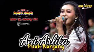 PISAH RANJANG - Ani Arlita NEW PALLAPA || KOLOR IJO Winong Pati #newpallapaliveterbaru