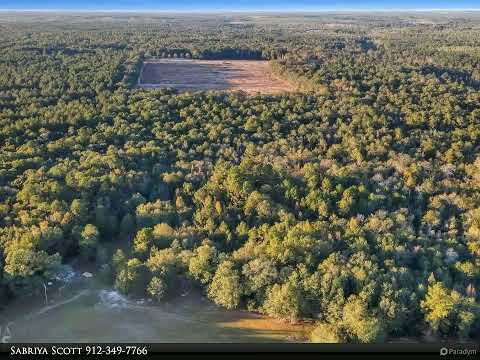41100 Canoochee, Metter, GA home video tour