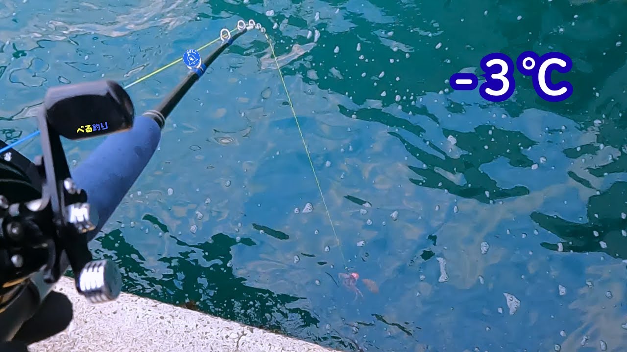 冬の堤防タコ釣りが極寒過ぎてつらかった