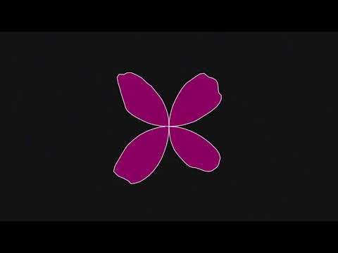 2D Sound Visualization with Perlin Noise