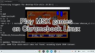 Play MSX games on Chromebook Linux