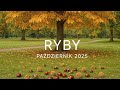 Ryby październik 2025 #tarot #pisces #wrozka #tarotreading #związki #single #praca #sąd #ryby 