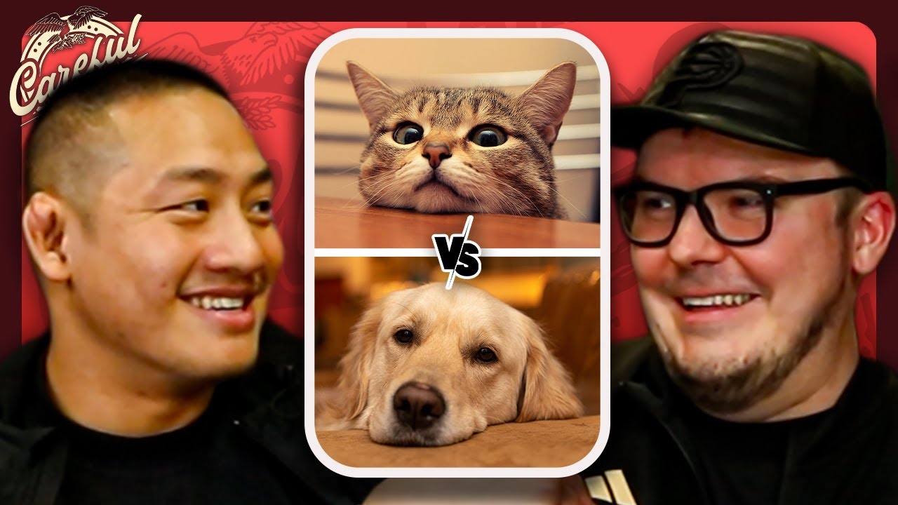 Cats vs. Dogs: The Revenge - YouTube