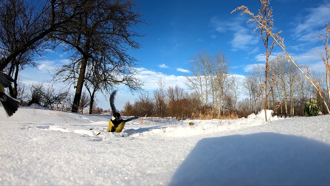 GoPro Hero 7 Black Slow Motion