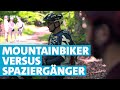 Illegale Mountainbike-Trails: Streit im Wald