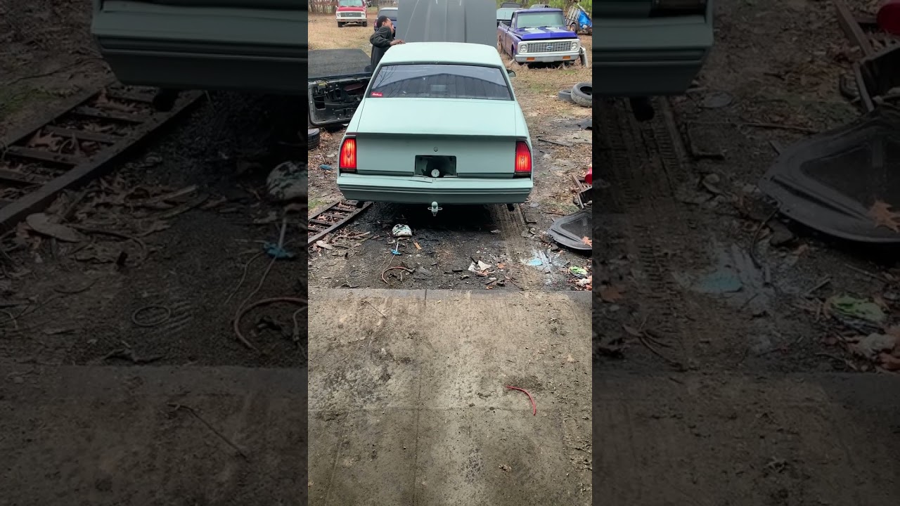 Monte Carlo ls swap first crank up