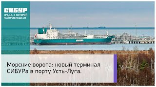 Новый терминал СИБУРа в порту Усть-Луга