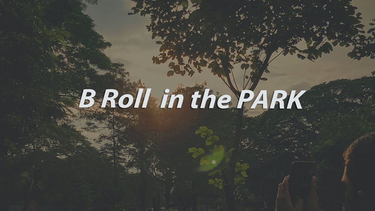 A CINEMATIC Park  | B Roll | Nature inspiration