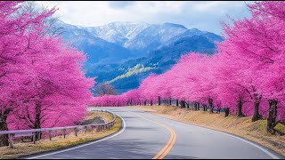 : Beautiful Relaxing Music - Stop Overthinking, Stress Relief Music, Sleep Music, Calming Music #2