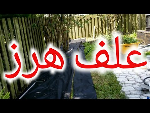 تصویری: دوستی با علفهای هرز. قسمت 1