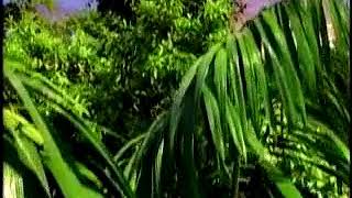 National Geographic Ident Always Wonder 02 By One Six Eight Design Group 2002