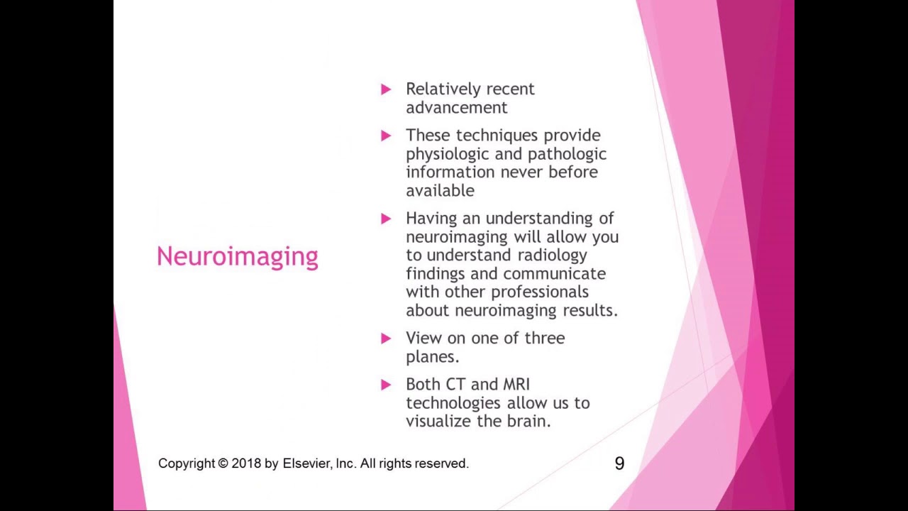 Part 1 Overview of Neurology Lecture - YouTube