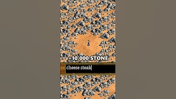 When You Activate Cheats #aoe2