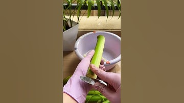 simple tool mini knife for peeling the bark of taro plants#shorts