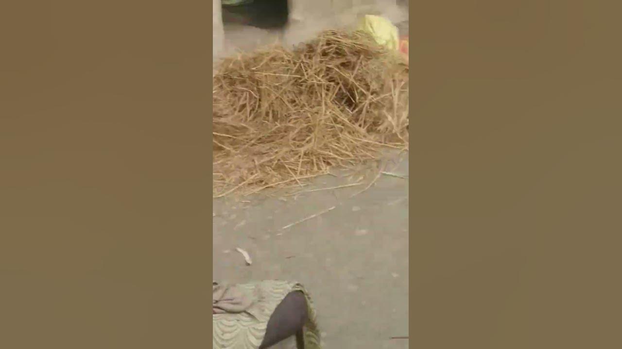 annsnxd snsjns s sidnxx dnsjs snsjx duesyw jdjdbdbs. zjsjsj - YouTube
