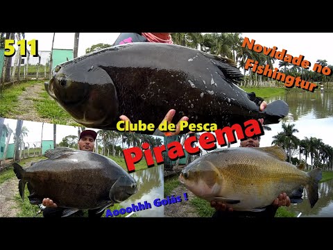 Piracema - Dia dos redondos e de um gigantesco Pirarucu - Fishingtur na TV 511