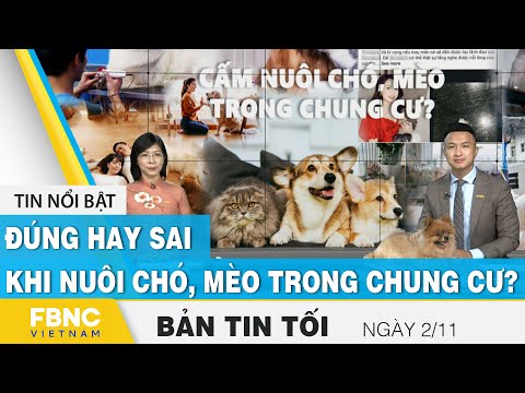 Video: Hộ Chiếu địa Chính Của Căn Hộ Chung Cư Trông Như Thế Nào?