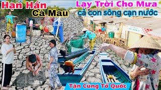 Cà Mau Hạn Hán,cảnh khổ ròng rã chờ mưa, cả con sông cạn sạch nước