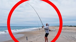 EPIC Surf Fishing - Endangered Species ALERT - NC Surf Fishing