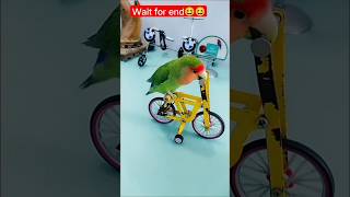 पक्षी चला रहा है cycle |mini wood toy| mini wood artshorts