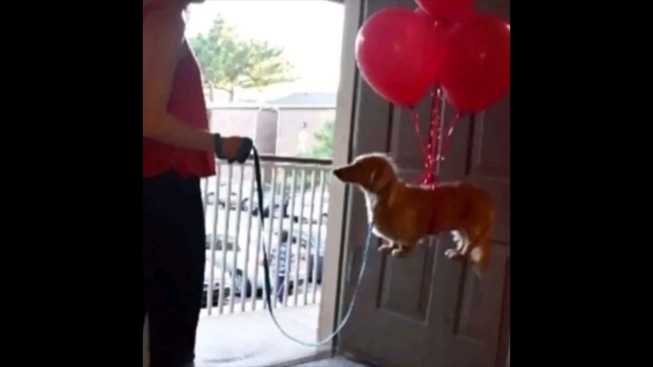 prettifun type beat (free for profit)