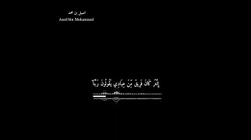 {أَنَّهُمۡ هُمُ ٱلۡفَآئِزُونَ} القارئ شريف مصطفى - Sherif Mustafa 💙🎧