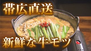 【札幌グルメ】帯広の新鮮な牛モツ×北海道流の味噌スープ「黒花火」を紹介＜札幌市西区＞