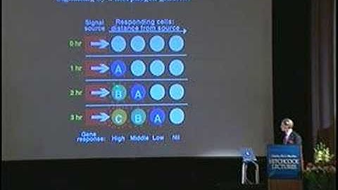 How Does an Egg Make an Organism? with John Gurdon