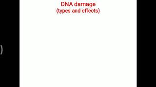 DNA damage - types and effects