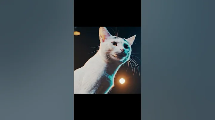 😂😂Most adorable #cat #band you'll see this year...