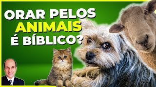 Perguntas Sobre Animais na Bíblia