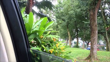 Drive Thru Simulation.wmv