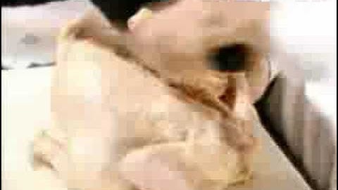 The Magic of Chef Paul - Cutting up Chicken