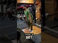 Back Day Gym (Beginner)💀Day 7 #shorts #fitness #Back Workout