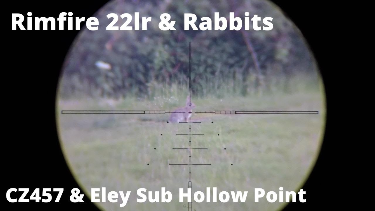CZ457 22lr Rabbit Control one late clear evening - YouTube