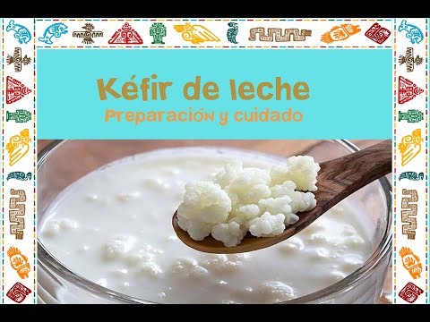 Fermentos 101: Kéfir de leche – Tikitchen