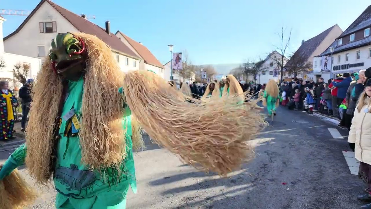 Narrentreffen Deisslingen 2024